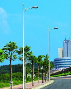 8米中杆灯图片,8米中杆灯高清图片 扬州市邗 国恺景观照明器材厂,